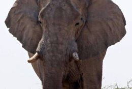 Namibia_August (82/135)